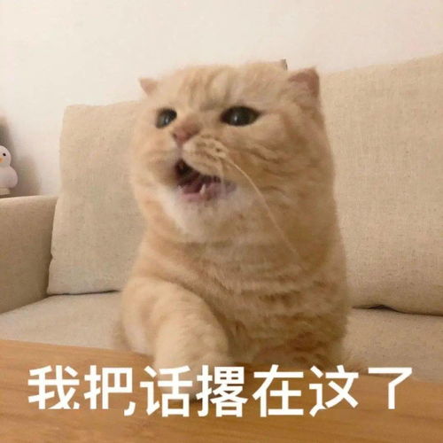  沙雕表情包