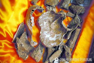  河南一古墓考古发现曹操真实死因,三国演义所写得到验证,三国迷笑了