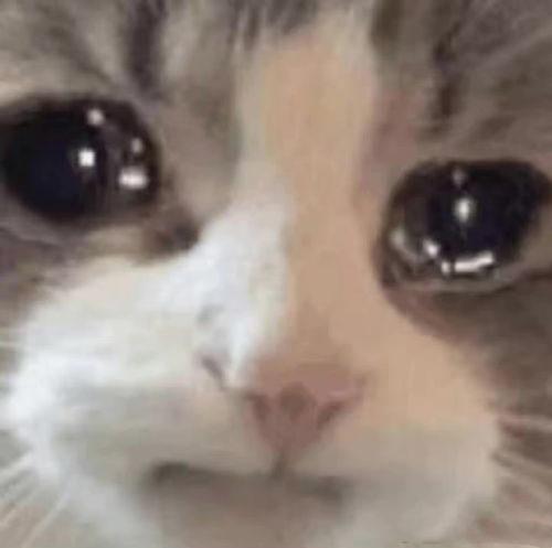  受不了了