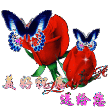  今日圣诞节,谁打开,谁幸福