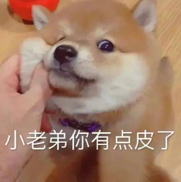  沙雕表情小老弟你有点皮