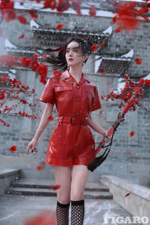  赵丽颖铠甲亦温柔