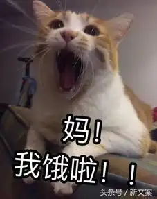 段子手神回复有一天我的意中人会踩着七色的云彩来娶我 段子手神回复有一天我的意中人会踩着七色的云彩来娶我