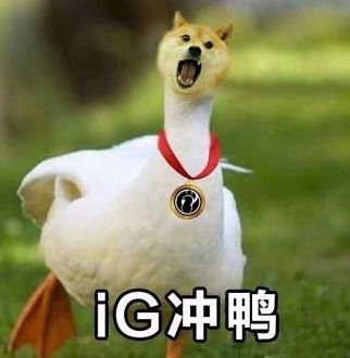  英雄联盟总决赛开始王思聪现场加油ig冲啊祝你痛失亚军