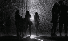  福利门票开抢淋不湿雨境席卷禅城康永哥都被ta迷倒