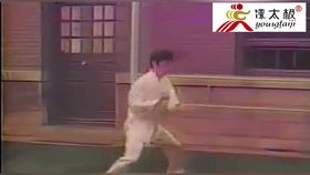  杨氏太极传人演示24式简化太极拳