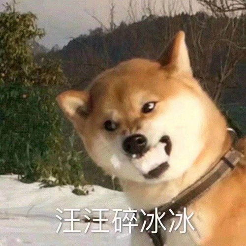  旺旺碎冰冰萧琊高音质在线试听旺旺碎冰冰歌词歌曲下载酷狗音乐