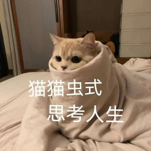  表情包我就是废物啊,你能拿我怎么样