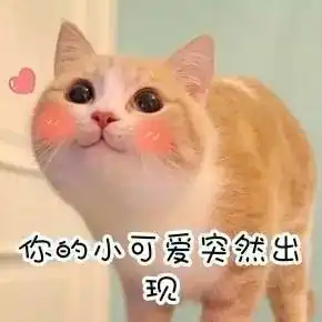 长沙妹陀我历任男朋友大多都是狗 长沙妹陀我历任男朋友大多都是狗