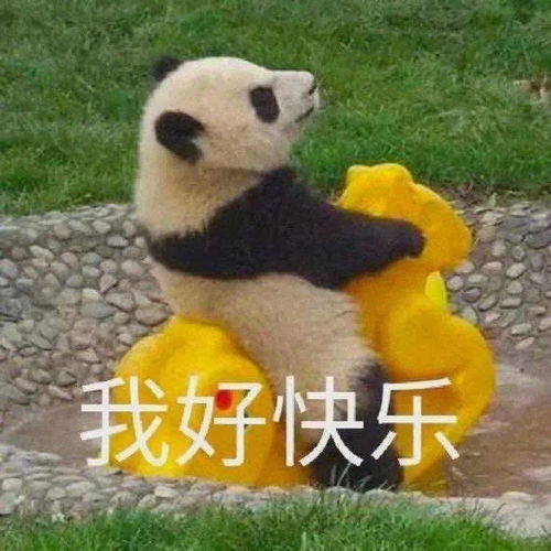  大学最累十大专业谈恋爱呜呜呜呜呜根本不存在的......