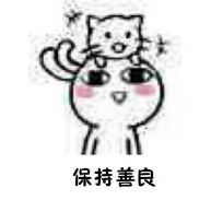 猥琐猫人脸表情包清晰表