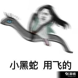  小黑蛇我们走表情包信息,使用方法,免费下载