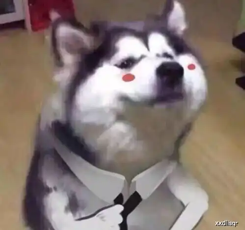 微信翻译还有这功能是我打开方式不对吧 微信翻译还有这功能是我打开方式不对吧