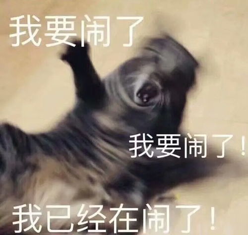 头疼表情包图片头疼