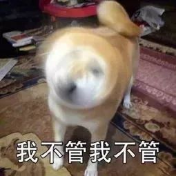 说的道理电棍表情包无言