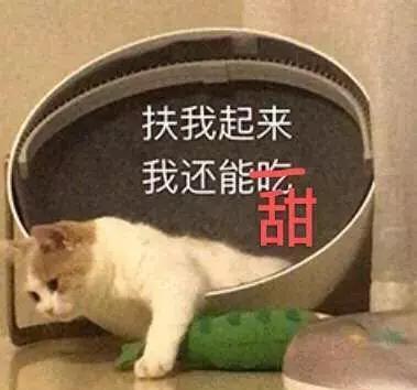  和四大美男组cp秀恩爱,这是剧版的恋与制作人吗