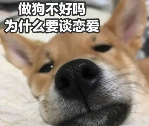  查卖淫窝点抓到夫妻俩警方居然查出老婆惊天秘密老公崩溃