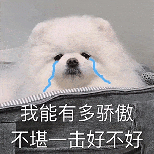  沙雕表情包勿扰了除了转账