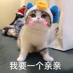  40元20张彩票最后2张拿下30000元头奖