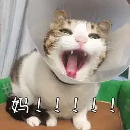  你们要的无水印喊妈喊爸喊儿砸的表情包都在这儿了