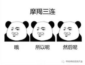  今日运势大转盘你的今天走运了吗