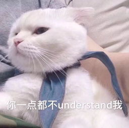 猫的表情包生无可恋钟楚