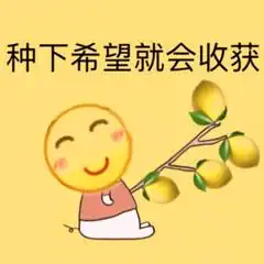 兰兰无话可说表情包核酸