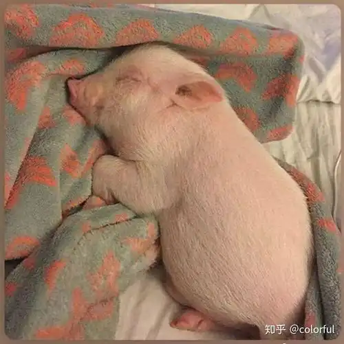 有什么是你去了温州大学才知道的 有什么是你去了温州大学才知道的