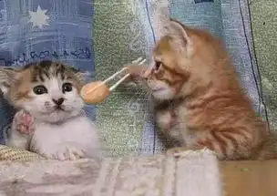 开心一刻笑话记得读高中时,班上新转来一个女生,长得很漂亮 开心一刻笑话记得读高中时,班上新转来一个女生,长得很漂亮