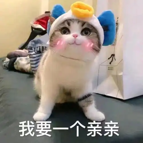 可爱喵咪表情包泰洛