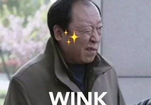  孙俪变身房产中介鹿晗首次演反派倪大红有新角色这些电视剧竟有这么多亮点