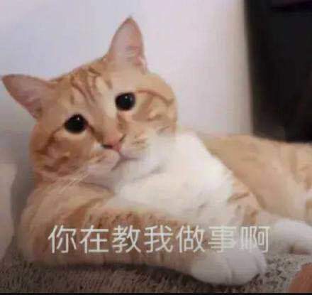  网约车需要了解的2020新规网约车资格证考试真题app
