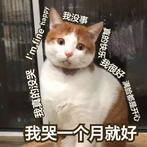 旅游愉快表情包单身