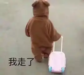 流浪江大是时候学习了 流浪江大是时候学习了