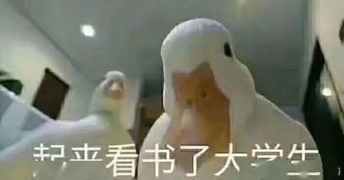 停课不停学,宅家学习小妙招