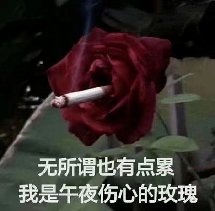  考试,可以emo但不要be