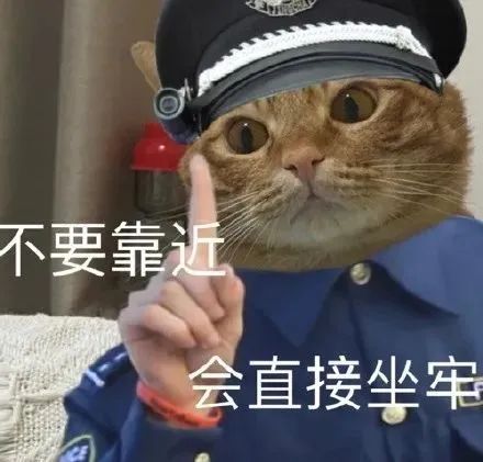 不妙啊家人们表情包虐猫