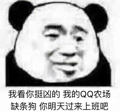  表情包斗图专用表情包