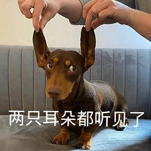 表情包两只耳朵都听见了 表情包两只耳朵都听见了