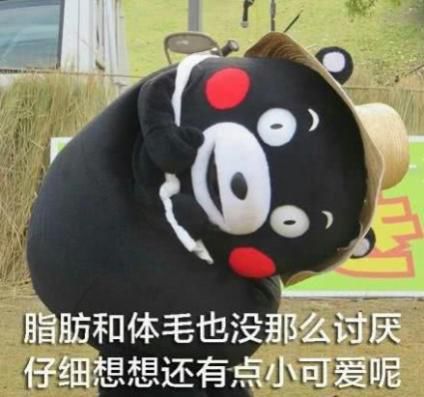  今日齐大气温播报爱你愿受冷风吹