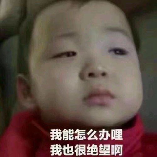 一起整个小孩表情包国美
