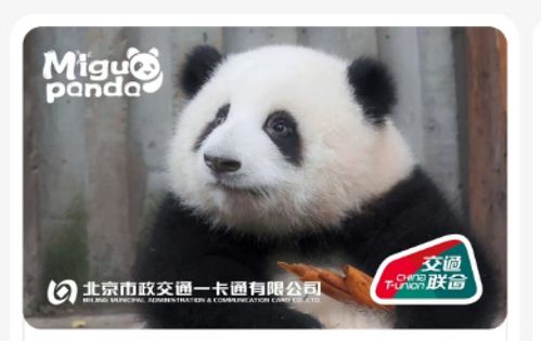  3月顶流,是一只叫和花的熊猫