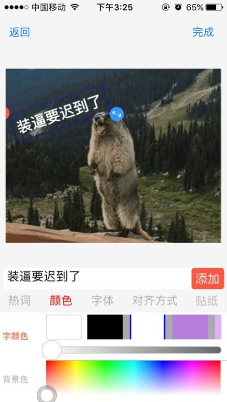 表情包狗熊
