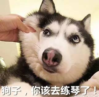  学音乐的人就是不一样,表情包都这么有特色,斗图必备,赶紧收藏