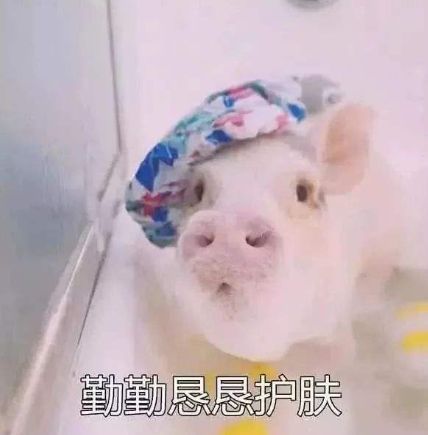 吃屎吧表情包粉红猪