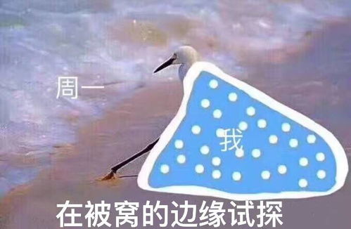  王者荣耀法师必出的性价比最高防御装备攻守兼备全靠它