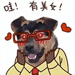  小表情一只加班的狗狗