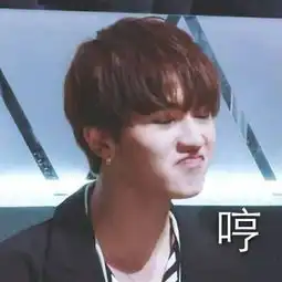 蔡徐坤发型表情包鬼畜小