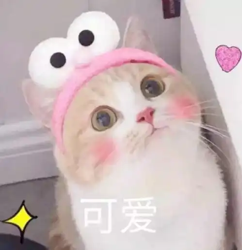 爱心表情包动图猫生
