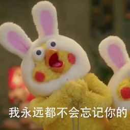  小黄鸡表情包小黄鸡微信表情包小黄鸡qq表情包发表情fabiaoqing.com